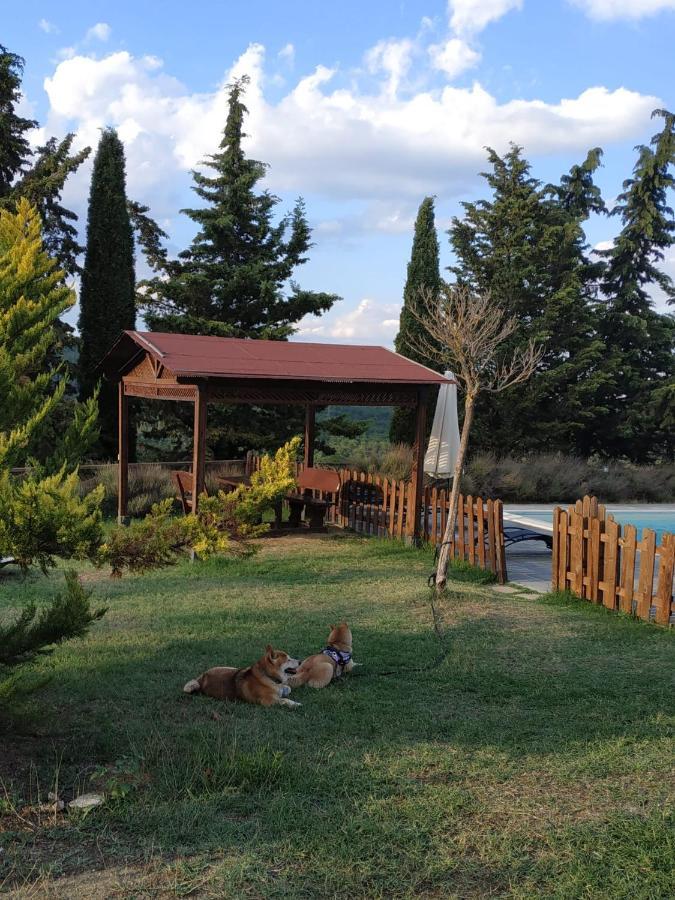 Agriturismo La Provenca تْشيانشانو  تيرمي المظهر الخارجي الصورة
