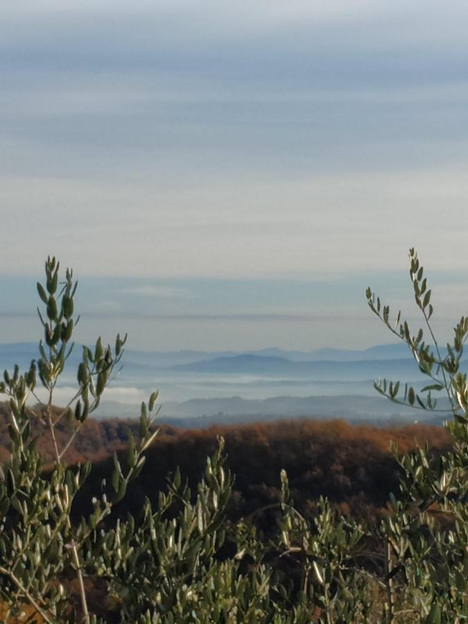 Agriturismo La Provenca تْشيانشانو  تيرمي المظهر الخارجي الصورة